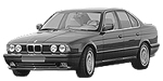 BMW E34 P1F0B Fault Code